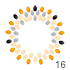  16