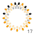  17