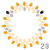  23