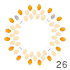  26
