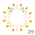  29